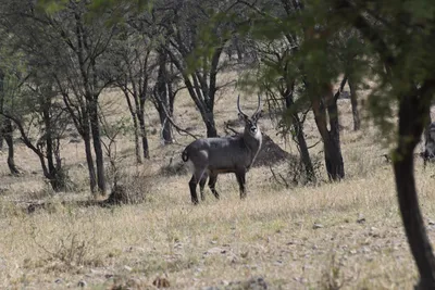 DSC_3675 (Large).JPG